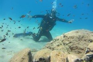 dive300x200.jpg